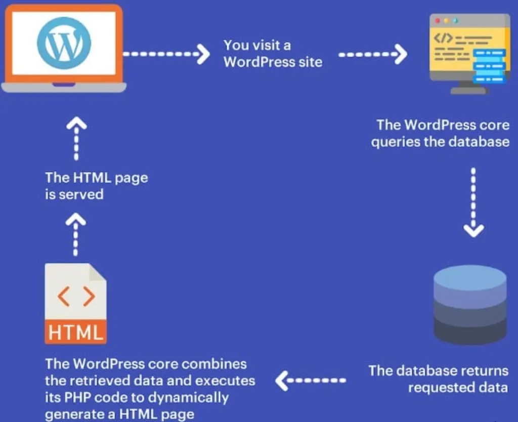 cache wordpress